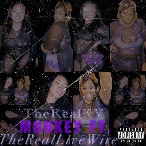 Monkey (feat. TheRealLiveWire) artwork